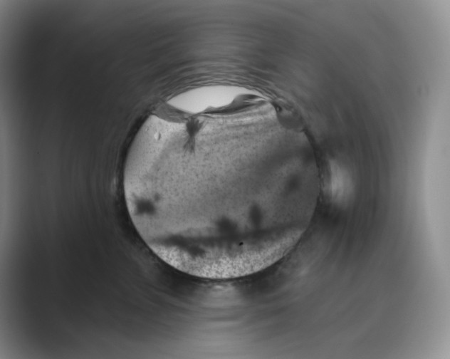 X0000088690715200706282002