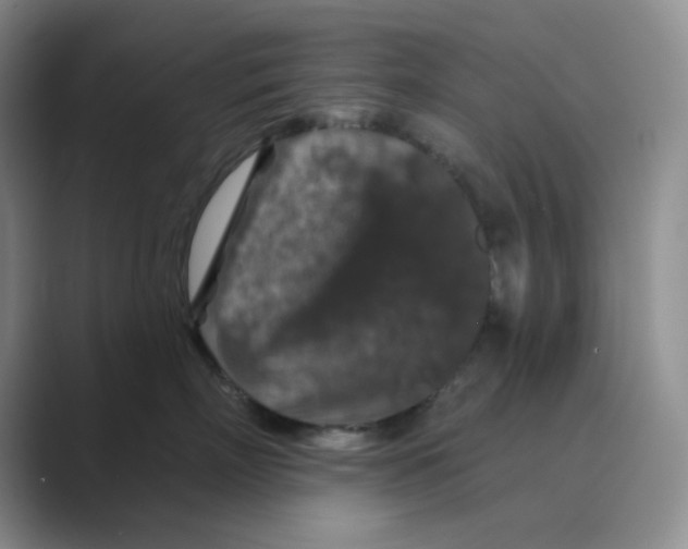 X0000088690718200706282002