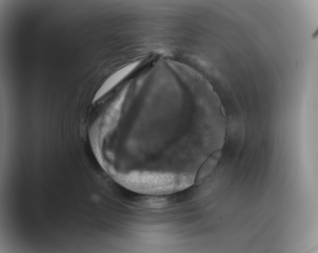 X0000088690719200706282002