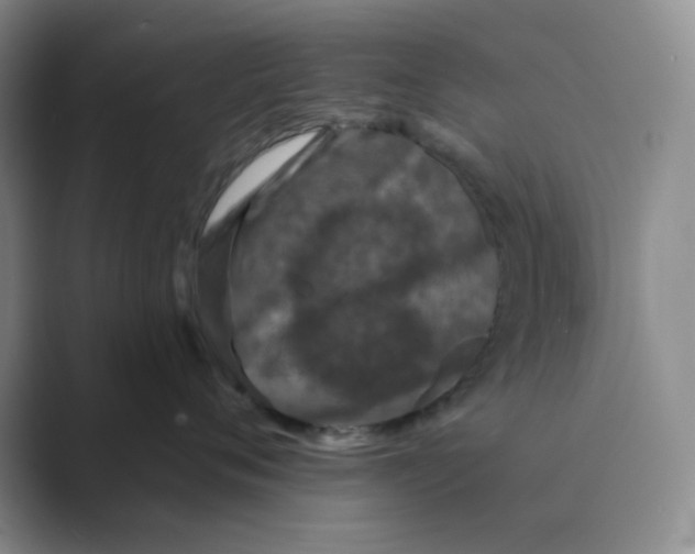 X0000088690720200706282002
