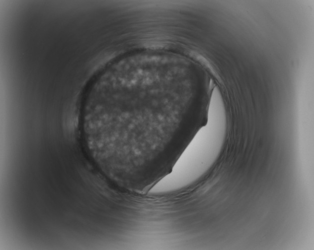 X0000088690723200706282002