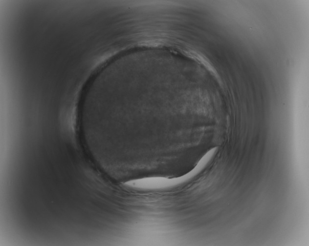 X0000088690724200706282002
