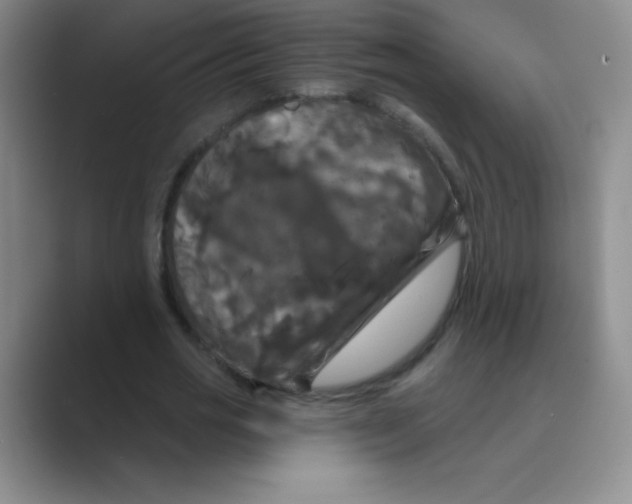 X0000088690725200706282002