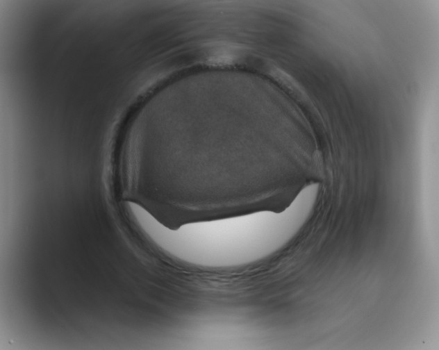 X0000088690728200706282002