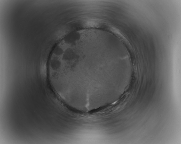 X0000088690729200706282002