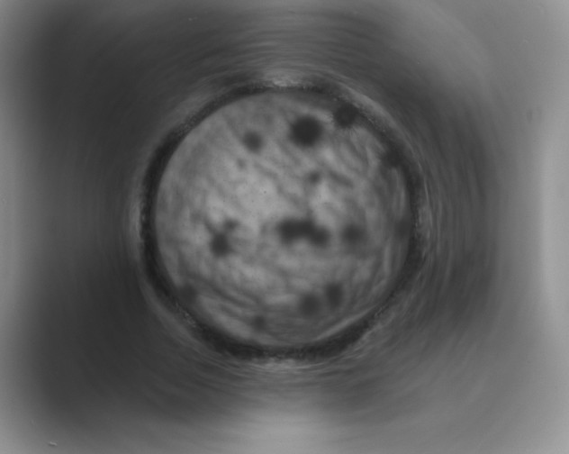 X0000088690730200706282002