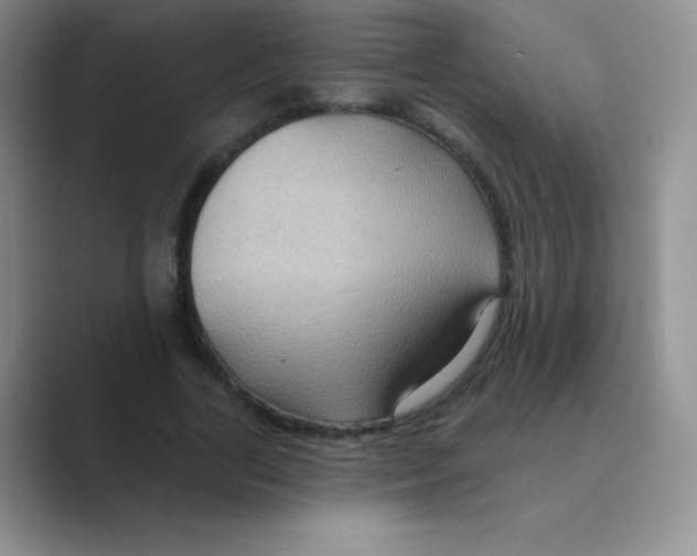 X0000088690731200706282002