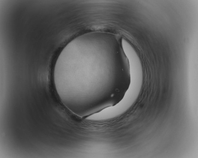 X0000088690732200706282002