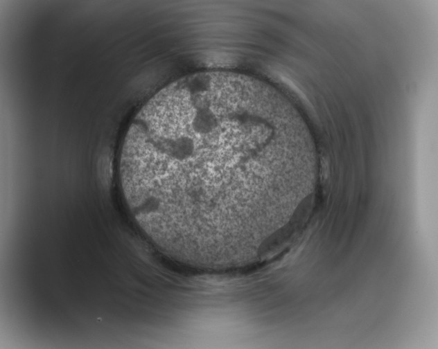 X0000088690733200706282002