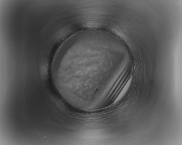 X0000088690735200706282002