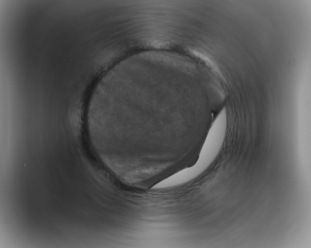 X0000088690736200706282002