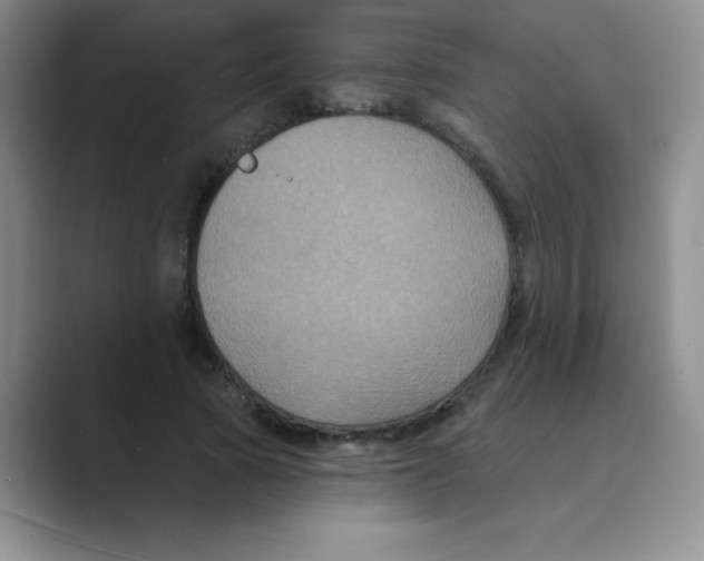 X0000088690737200706282002
