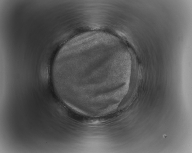 X0000088690740200706282002