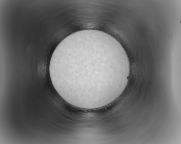 X0000088690741200706282002