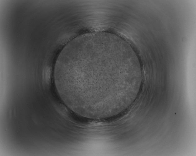X0000088690742200706282002