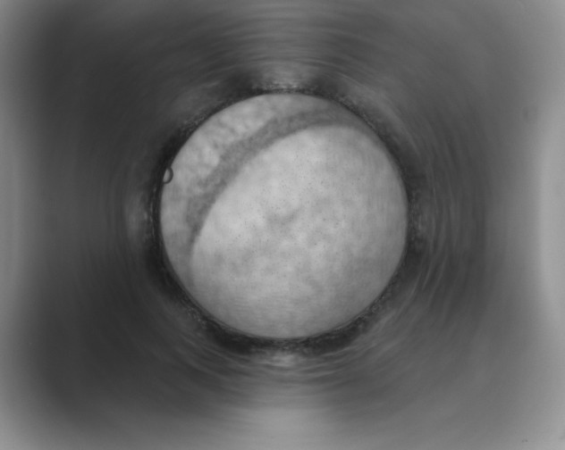 X0000088690743200706282002