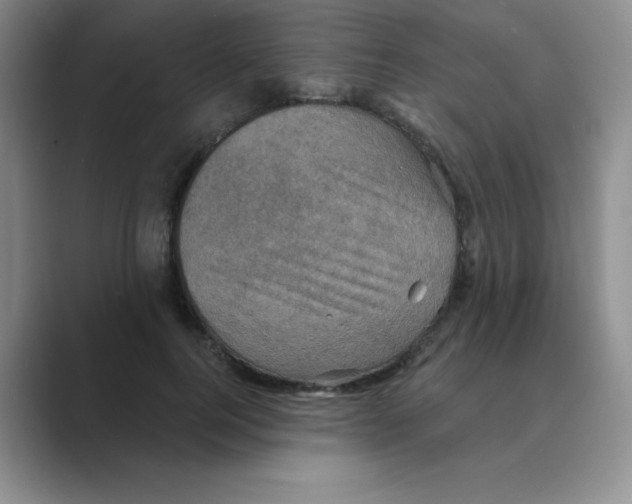 X0000088690744200706282002