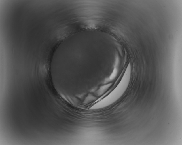 X0000088690747200706282002