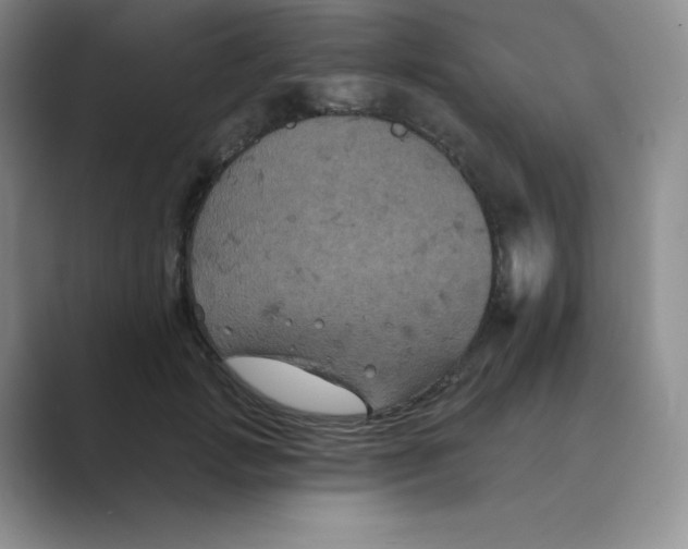 X0000088690749200706282002