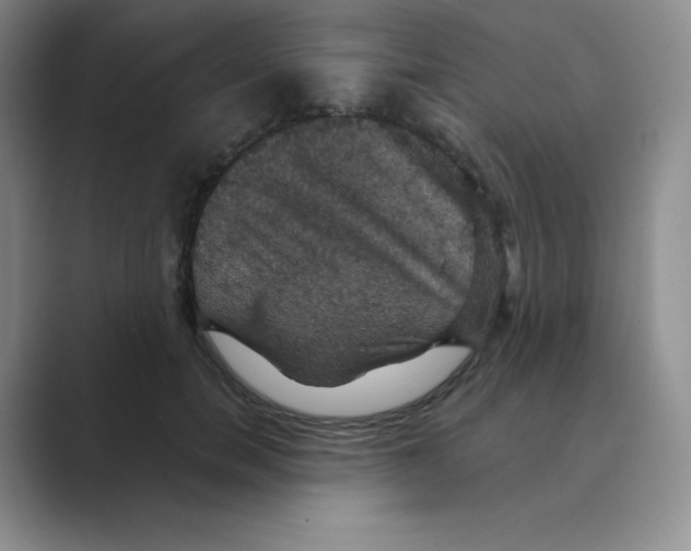 X0000088690750200706282002