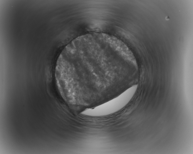 X0000088690751200706282002