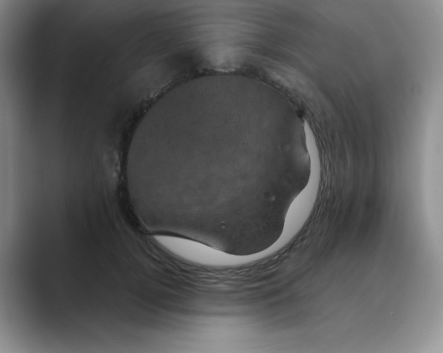 X0000088690752200706282002