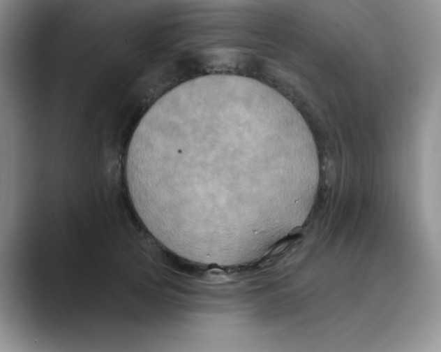 X0000088690753200706282002