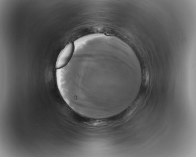 X0000088690754200706282002