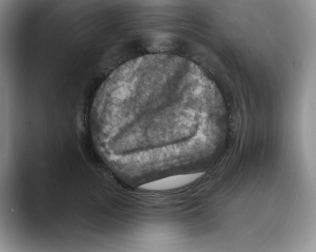 X0000088690755200706282002