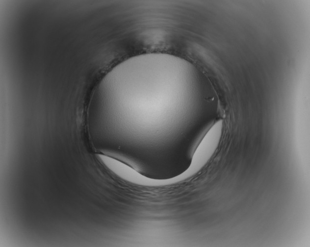 X0000088690756200706282002