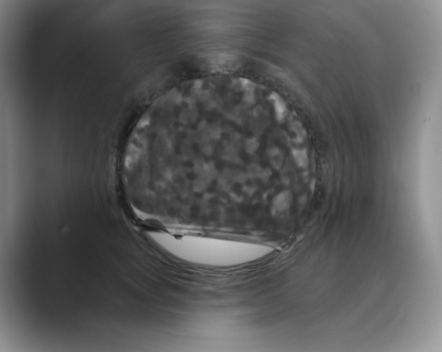 X0000088690757200706282002