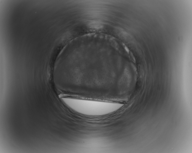 X0000088690758200706282002
