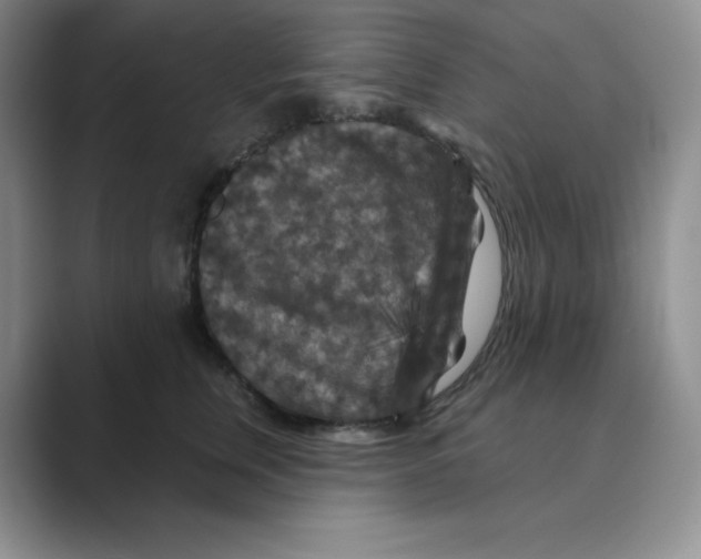 X0000088690759200706282002