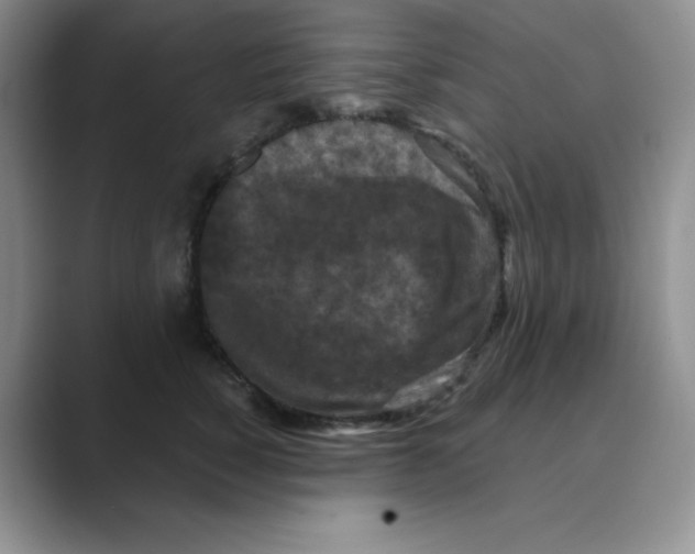 X0000088690760200706282002