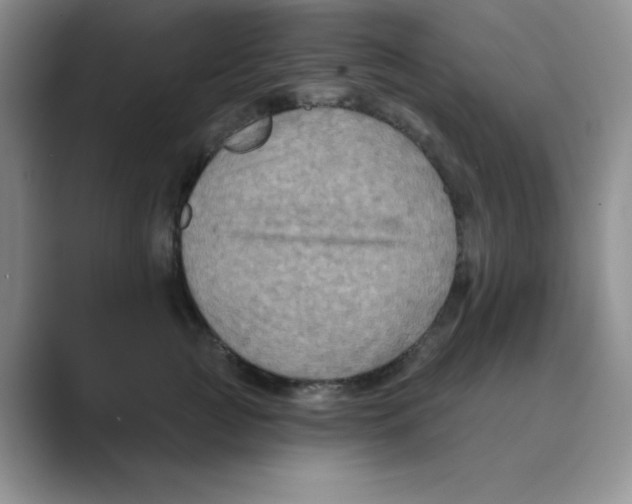 X0000088690761200706282002