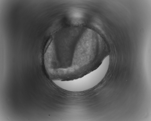 X0000088690762200706282002