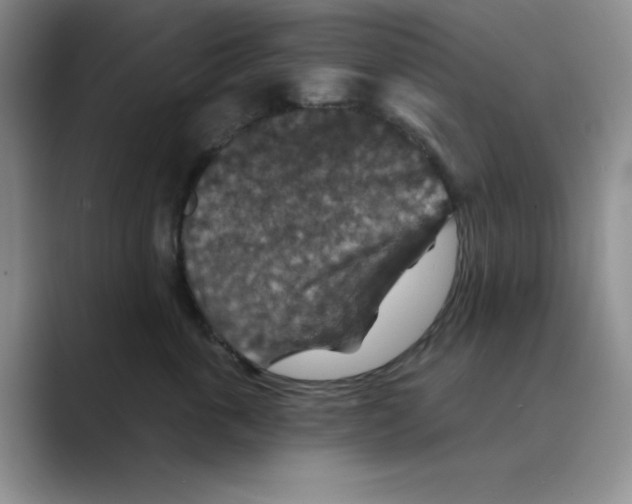 X0000088690763200706282002