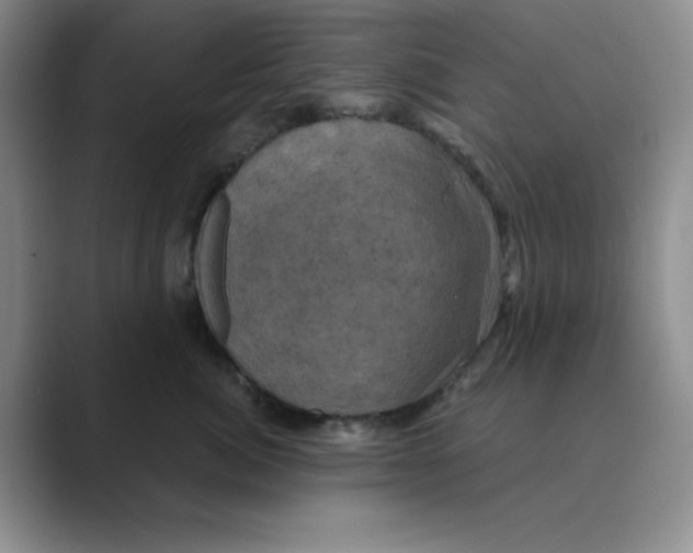 X0000088690764200706282002