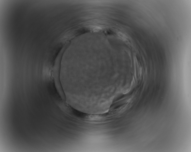 X0000088690766200706282002