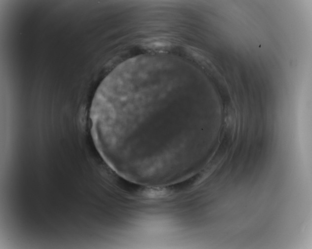 X0000088690767200706282002