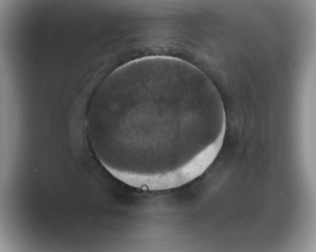 X0000088690769200706282002