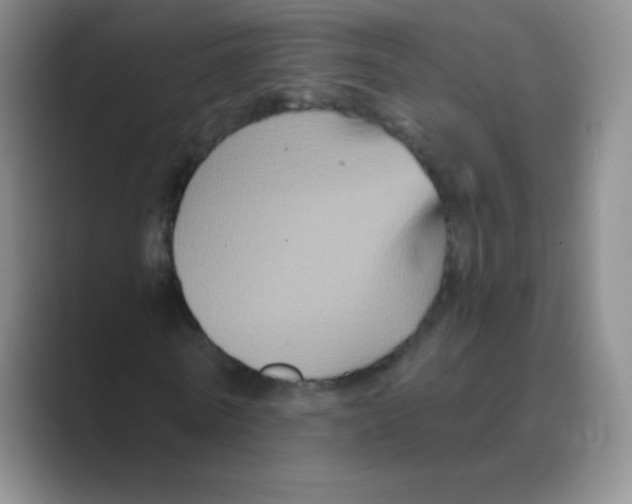 X0000088690770200706282002