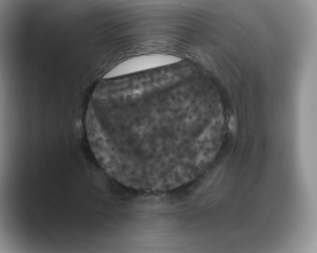 X0000088690771200706282002