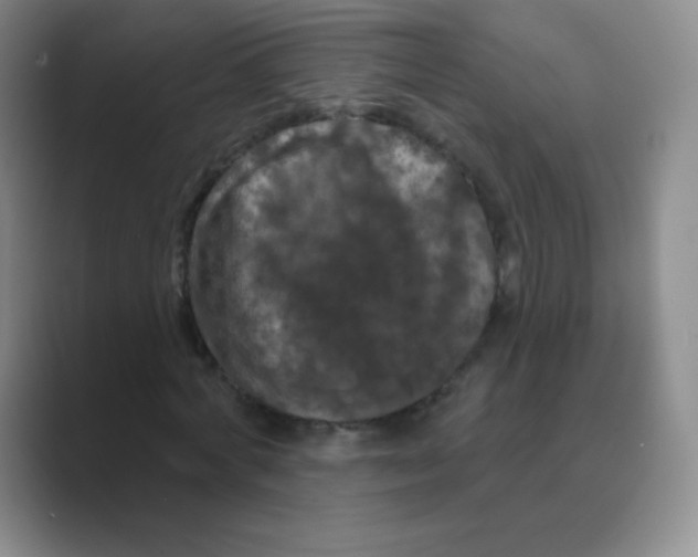 X0000088690772200706282002