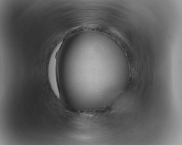 X0000088690773200706282002