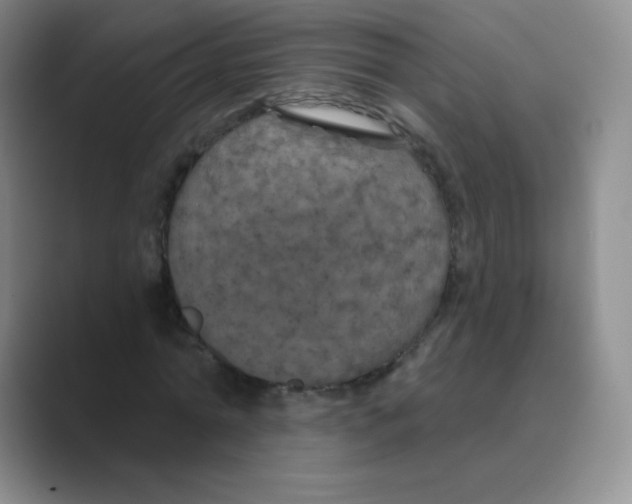 X0000088690774200706282002