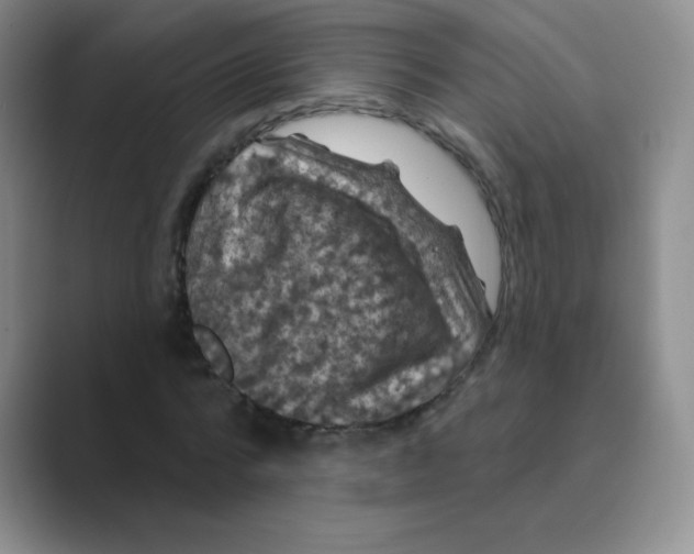 X0000088690776200706282002