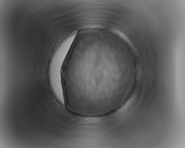 X0000088690777200706282002