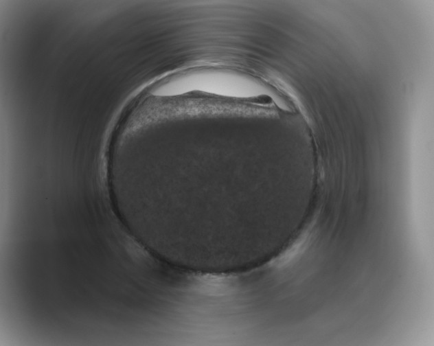 X0000088690779200706282002
