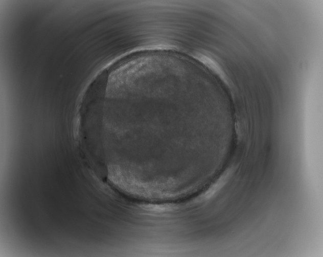 X0000088690781200706282001